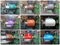 Bobina de Acero Galvanizado con Recubrimiento de Color PPGL, Superficie Mate, PPGI PPGL para Material de Construcción