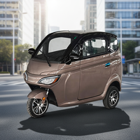 Le véhicule électrique tout-terrain est compact, facile à conduire et à stationner. C'est un choix idéal pour les trajets en ville
