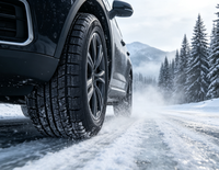 Neumáticos de Invierno de Alto Rendimiento PCR para Autos y SUV, Fábrica China, 285/30R20 295/35R20 305/40R20