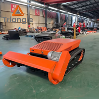 Tondeuse robot à chenilles de haute qualité homologuée CE pour l'agriculture, télécommandée, pour couper l'herbe