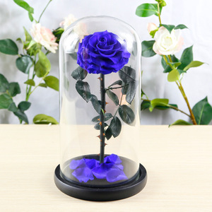 10cm rojo fresco conservado rosa en cúpula <span class=keywords><strong>de</strong></span> <span class=keywords><strong>cristal</strong></span> como regalo y decoración <span class=keywords><strong>de</strong></span> sala <span class=keywords><strong>de</strong></span> estar - Product Image 6