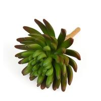 Vente en gros de succulentes artificielles de haute qualité, assortiment de mini-plantes en pot pour la décoration de la maison et du bureau, accessoires de verdure, Planta