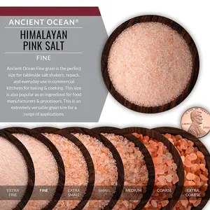 Bio-Packt asche All Natural Fine Grain Pour Auslauf beutel 16 Unzen Ancient Ocean Himalayan Pink Minerals alz