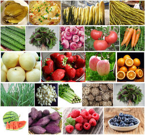 Presse hydraulique verticale industrielle Presse-agrumes pressée à froid Extracteur de <span class=keywords><strong>jus</strong></span> de raisin et légumes Presse-agrumes hydraulique industriel à moteur pour <span class=keywords><strong>le</strong></span> vin - Product Image 2