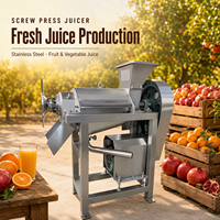 Automatische industriële spiraalvormige sapcentrifuge met hoge productiviteit voor de verwerking van fruit & groenten 220V