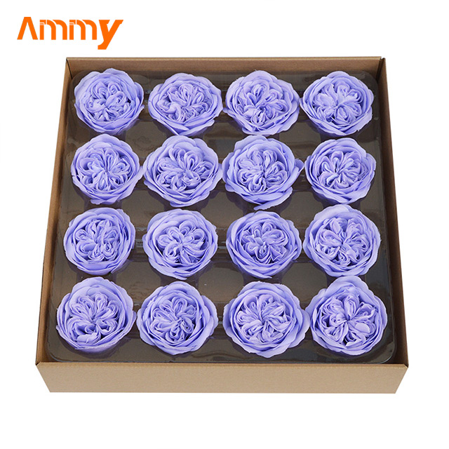 Violet (16p/boîte)