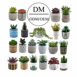 Vetplanten Groothandel Decoratieve Mini Outdoor Indoor Opknoping Arrangement Kunstmatige Planten Succulent Te Koop