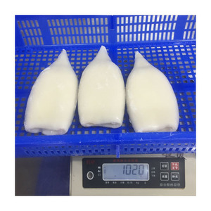 Tubo di Calamaro Congelato Senza Pelle IQF Illex Argentina 10x1kg 10x2kg Confezione in Sacchetto di Polietilene per Esportazione all'Ingrosso - Product Image 2