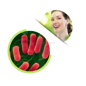 Lactobacillus Crispatus poudre poudre probiotique pour <span class=keywords><strong>la</strong></span> santé de <span class=keywords><strong>la</strong></span> femme - Product Image 1