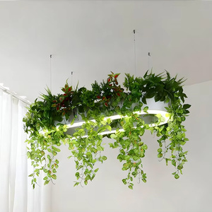 Lampadario Moderno Lineare Biologico per <span class=keywords><strong>Ufficio</strong></span>, Lampadario Ovale con Foglie per Spazi di Coworking, Ristoranti, Supermercati, Illuminazione Decorativa - Product Image 5