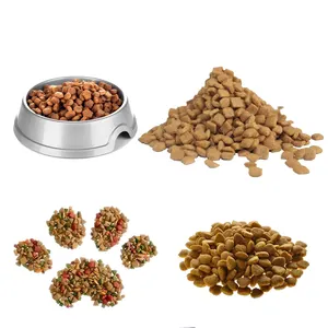 Extrudeuse de fabrication d'aliments secs pour chiens et chats Production d'aliments pour poissons Ligne de traitement d'aliments pour animaux de compagnie