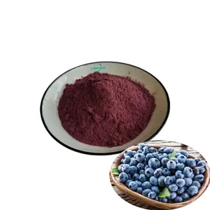 Wild Organic Blueberry Fruit Juice Powder 25% Blueberry Extract Anthocyanin Powder