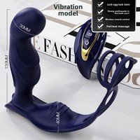 Fabrik-Großhandel Prostata-Vibrator Analplug Erotischer Masturbator Kabellose Fernbedienung Vibrierender Penisring Made in China Modell