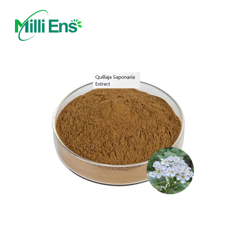 Заводская поставка, травяной экстракт коры Quillaja Saponaria, порошок, сапонины, 60% 80%, экстракт Quillaja Saponaria