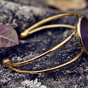 Pulsera de Disco Polarizado MWO con Bobina de Tesla, Oscilador Multifrecuencia, Brazalete de Energía de Campo Magnético - Product Image 4