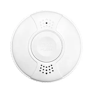 Hot-Selling Products Battery Operated Wireless Mini Brandvarnare Smoke Detector Alarm