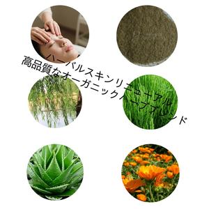 Maschera Purificante in Polvere S Brown Alage con Spicule Vegetali per Cosmetici e Forniture per Estetiste - Ingrosso - Product Image 4