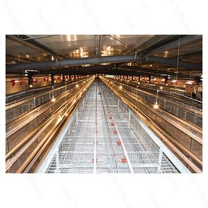 Nuevo Equipo Automático Zhuoyi Tipo H para Cría de Gallinas Ponedoras, Jaula de Zinc Galvanizado en Caliente con Recolección Automática de Huevos, Bajo Consumo de Energía - Product Image 5