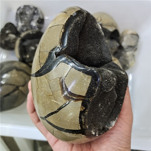 Bán Buôn Đá Tự Nhiên Septarium Đá Hóa Thạch Geode Trứng Thạch Anh Pha Lê Chạm Khắc Trang Trí Trứng - Product Image 1