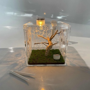 Wholesale High Clear Lucite Acrylic Jumping <b>Spider</b> Feeding Cage Reptile Enclosure for Breeding Observation Display - Product Image 2