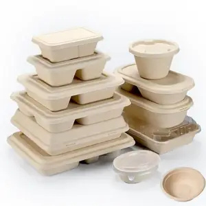 Eco-friendly Disposable Biodegradable Fast Food Bamboo Pulp Container Custom Paper Lunch Box OEM ODM Compostable Plate With Lid