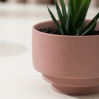 Pot de fleurs en porcelaine moderne nordique pour salon, pot de plante succulente en céramique unique, application domestique