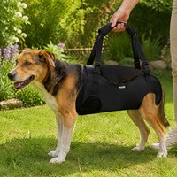 Sac de transport portable pour animaux de compagnie en tissu Oxford avec sangle réglable, sac de voyage pour chien mains libres, sac à bandoulière en maille respirante