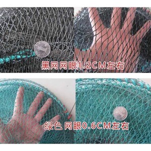 Nasse à homard pliable en nylon 60x30cm pour l'aquaculture et la pêche au homard et aux crevettes Chine - Product Image 4