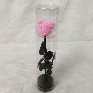 Bán Buôn Một Lớp Eternity Hoa Hồng Màu Đỏ Bảo Quản Hoa Với Thân Dài - Product Image 3