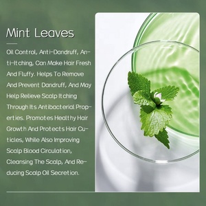 Nhãn hiệu riêng gàu loại bỏ chống gàu dầu gội khô và ngứa cứu trợ cho khô và ngứa da đầu khô da đầu điều trị - Product Image 5