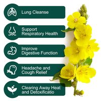 Sachets de thé à la molène pour les poumons, feuilles de molène compressées de qualité supérieure, tisane apaisante pour la gorge, soutien respiratoire