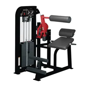 Hot sale Back Extension import gym equipment fitness equipment