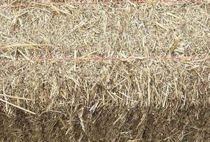 Paja de Trigo Natural Premium de Fibra Larga para Productos Biodegradables, Moldeo de Pulpa y Compuestos Ecológicos - Product Image 3