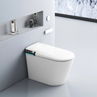 Toilette moderne de luxe de style canadien à bidet intelligent en céramique d'une seule pièce Toilette intelligente haut de gamme de bonne qualité