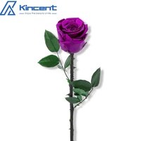 Cadeaux de Noël 2024 Bouquet de roses éternelles Rose préservée avec tige