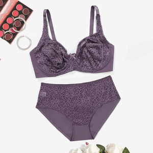 Ensemble de lingerie sexy grande taille en dentelle pour femme, soutien-gorge et culotte, vente en gros personnalisée pour dropshipping 2026 - Product Image 4