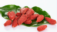 Bulk 5kg Premium Kwaliteit Zoete Gedroogde Gojibessen 350 Korrels/50g Zonder Additieven Gedroogd Fruit