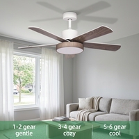 Ventilateur de plafond silencieux ProBreeze 48 pouces, 5 pales, 6 vitesses, lumière LED à intensité variable, télécommande, design moderne, chambre à coucher, garantie 5 ans