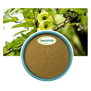 Healthife 10:1 Qing Qian Liu Roda Wingnut <span class=keywords><strong>Cyclocarya</strong></span> <span class=keywords><strong>Paliurus</strong></span> Folha Extrato Em Pó - Product Image 1