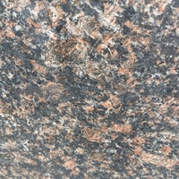 Panneaux muraux en pierre de granit gris-brun naturel pour intérieur et extérieur, marches d'escalier, seuils et rebords de fenêtre