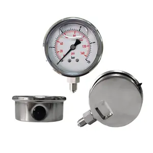 Stable Performance 2000Bar High Negative Seismic Pressure Gauge