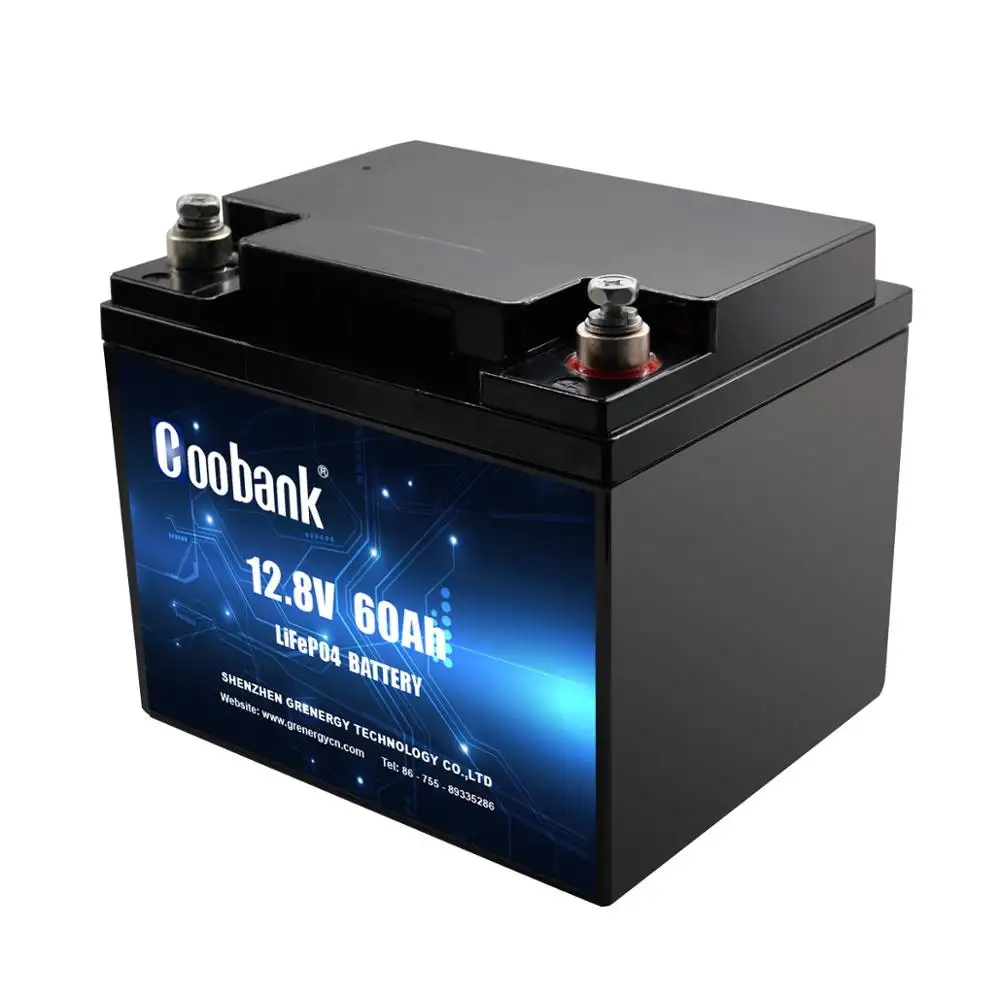 Rechargeable 12V LiFePO4 DC Battery 60Ah With Built-in BMS