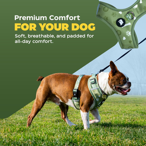 Cute Cartoon Luxury Adjustable Breathable Durable Polyester <b>Pet</b> Dog Harness Set <b>Leash</b> Outdoor Walking 2-14KG - Product Image 4