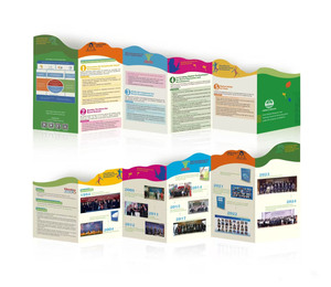 OEM tùy chỉnh chết cắt <span class=keywords><strong>Flyer</strong></span> in ấn cheaptrifold tờ rơi tùy chỉnh logo in Offset Brochure cho quảng cáo và hiển thị - Product Image 3
