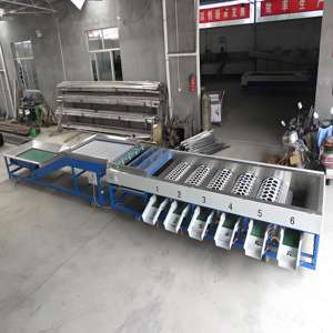 Buen valor para el dinero Portadores de frutas para máquinas clasificadoras Máquina clasificadora de lavado de frutas Equipo de clasificación de frutas - Product Image 4