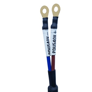 OEM/ODM 2 pines 2 POS PDU a arnés de cables de línea eléctrica DCDC 540V - Product Image 4