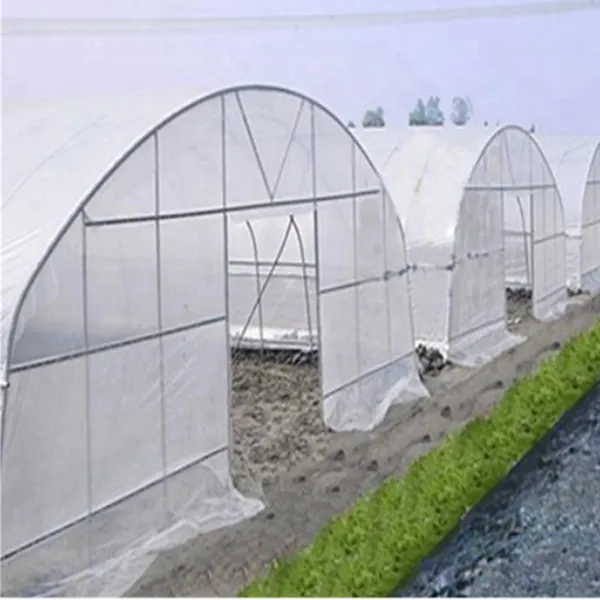 Greenhouse de túnel plástico agrícola com sistema de balde dutch