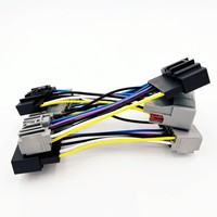 Arnés de Cableado de Audio para Automóvil OEM ODM, Arnés de Cableado para Amplificador DSP, Transmisión de Datos Estable para Automóviles
