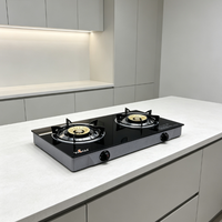 Kompor Gas Portabel untuk Dapur Rumah dan Komersial, dengan Permukaan Kaca Temper, 2 Tungku Besi Cor