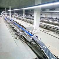 Machine d'abattage de bétail haute performance 100 têtes/jour avec plateau tournant, palan et cabine d'abattage pour abattoir
